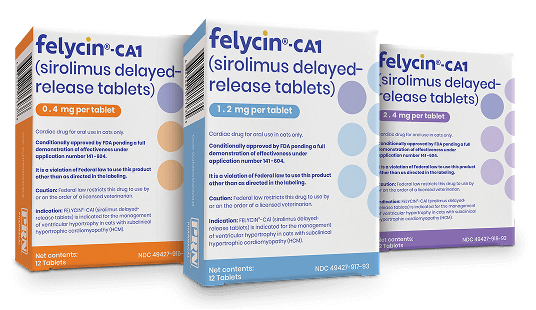 Felycin-CA1_Group_PS