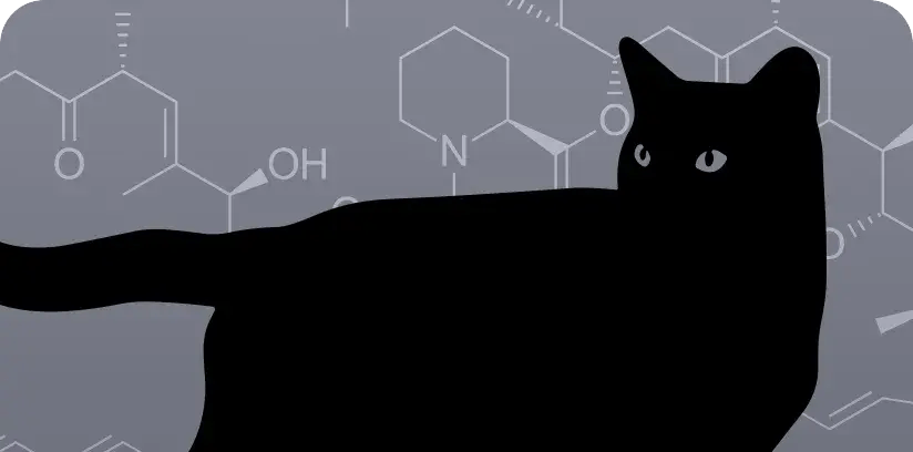 A Hero for Cats with HCM: the Science Behind Sirolimus