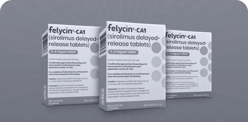 Sirolimus vs. Traditional Heart Medications for Cats with HCM
