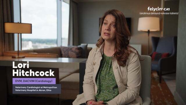vimeo-thumbnail (1)