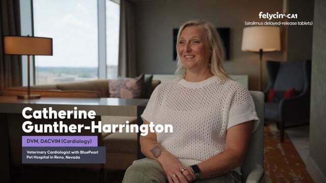 vimeo-thumbnail (2)