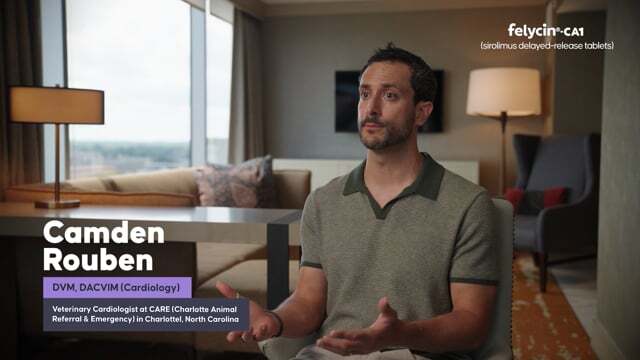 vimeo-thumbnail